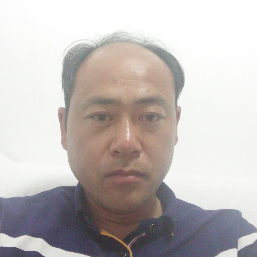 龙猫单纯的照片