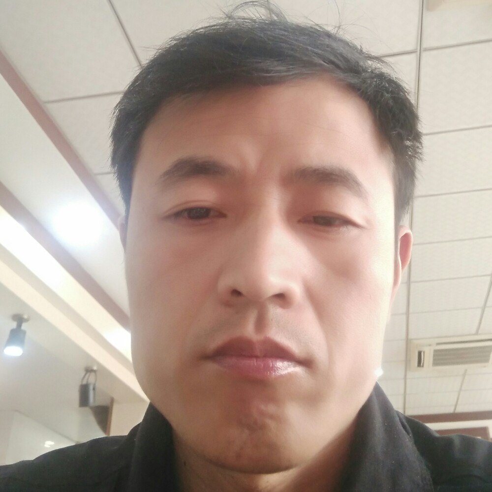 可靠豆芽的照片