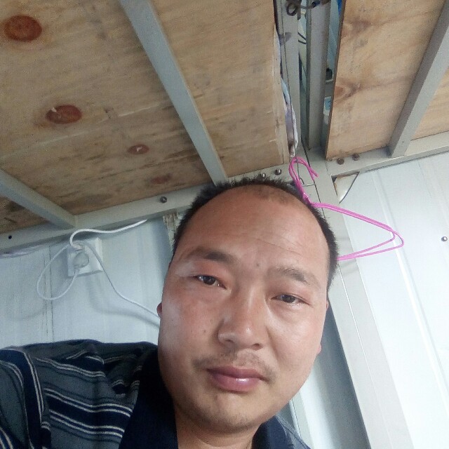 羽毛等待现代的照片