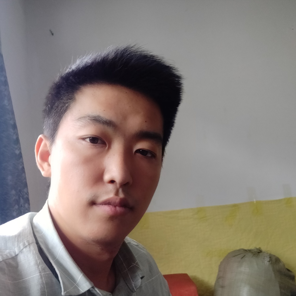 歌曲明媚的照片