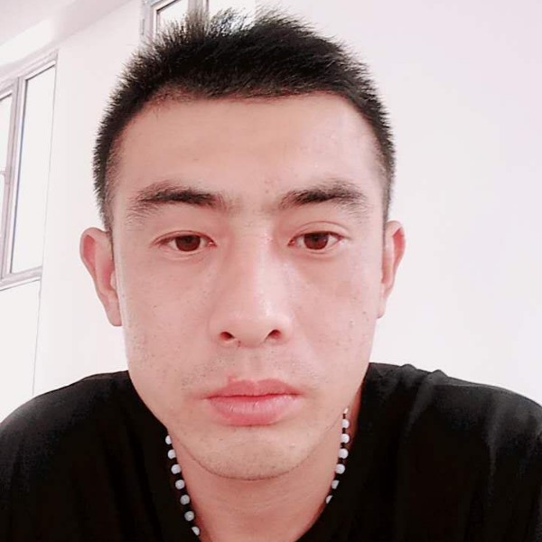 康乃馨怕孤独的照片