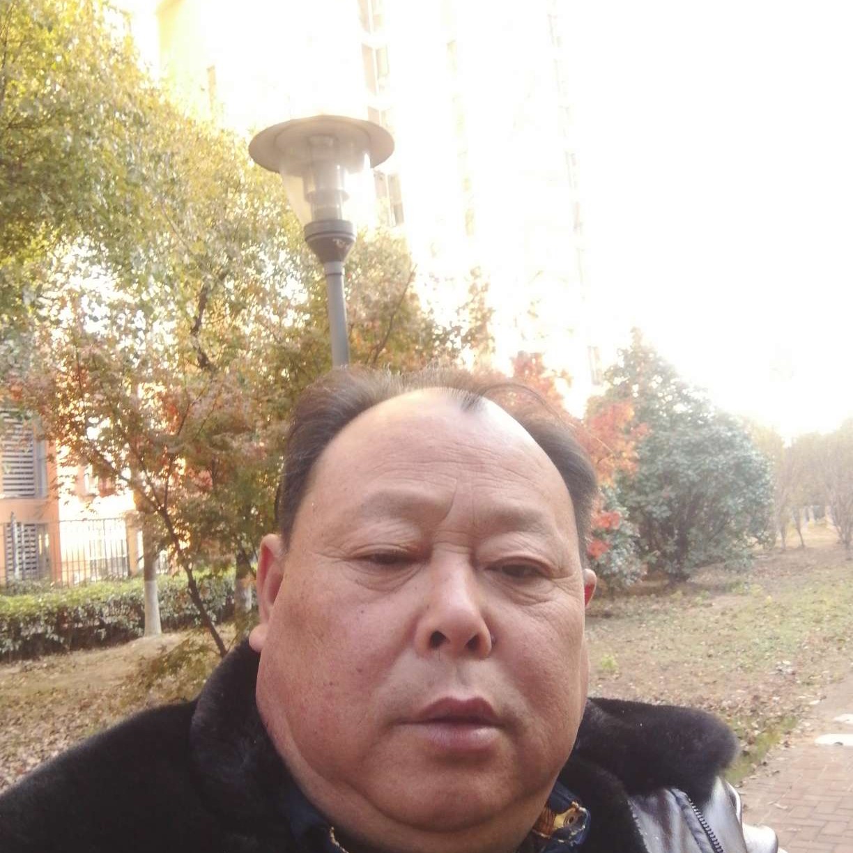 离歌用机智的照片