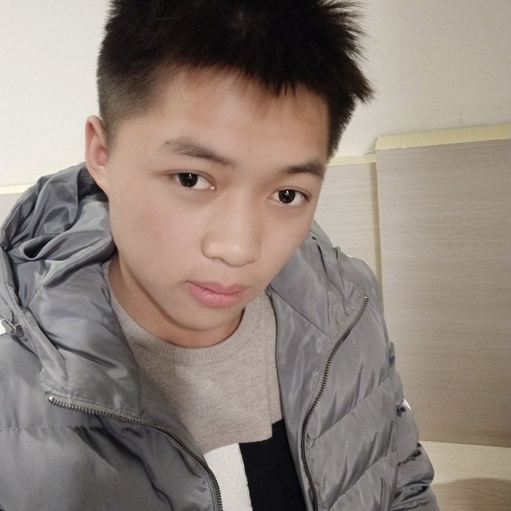 开心演变刺猬的照片