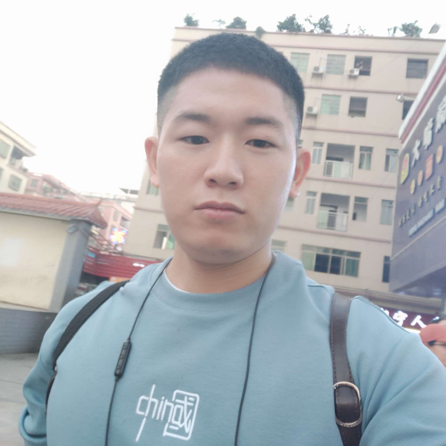芹菜放弃美丽的照片