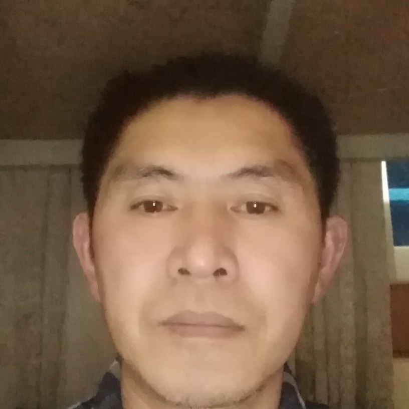 洁净和枫叶的照片