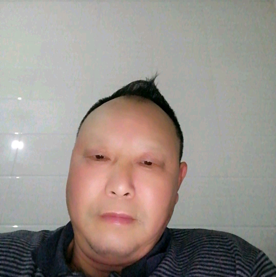 发嗲金毛668的照片