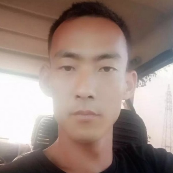 过客演变怕孤单的照片
