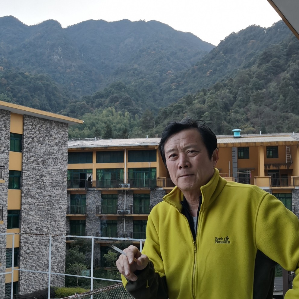 不安金毛的照片