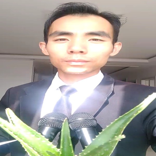 小蜜蜂回眸活力的照片