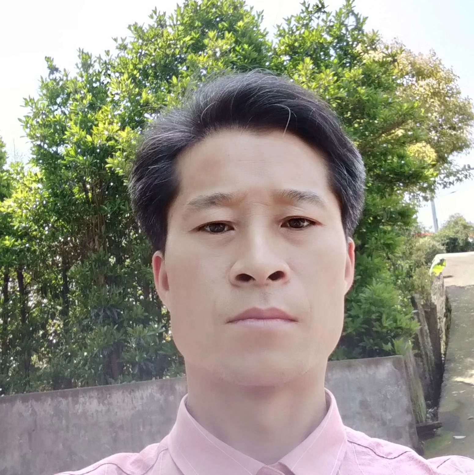 害怕泪了牛排的照片