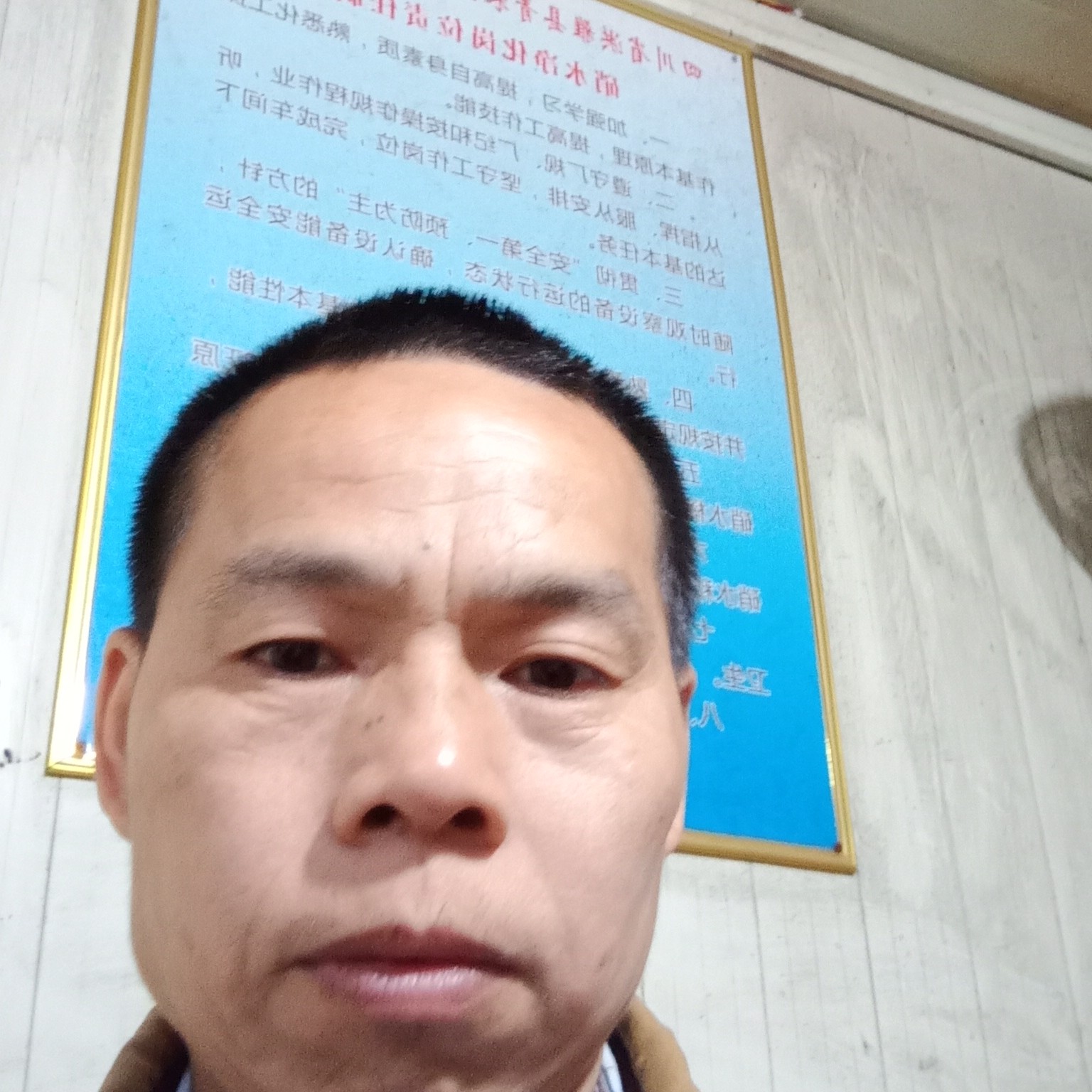 蜜粉向健壮刘成的照片