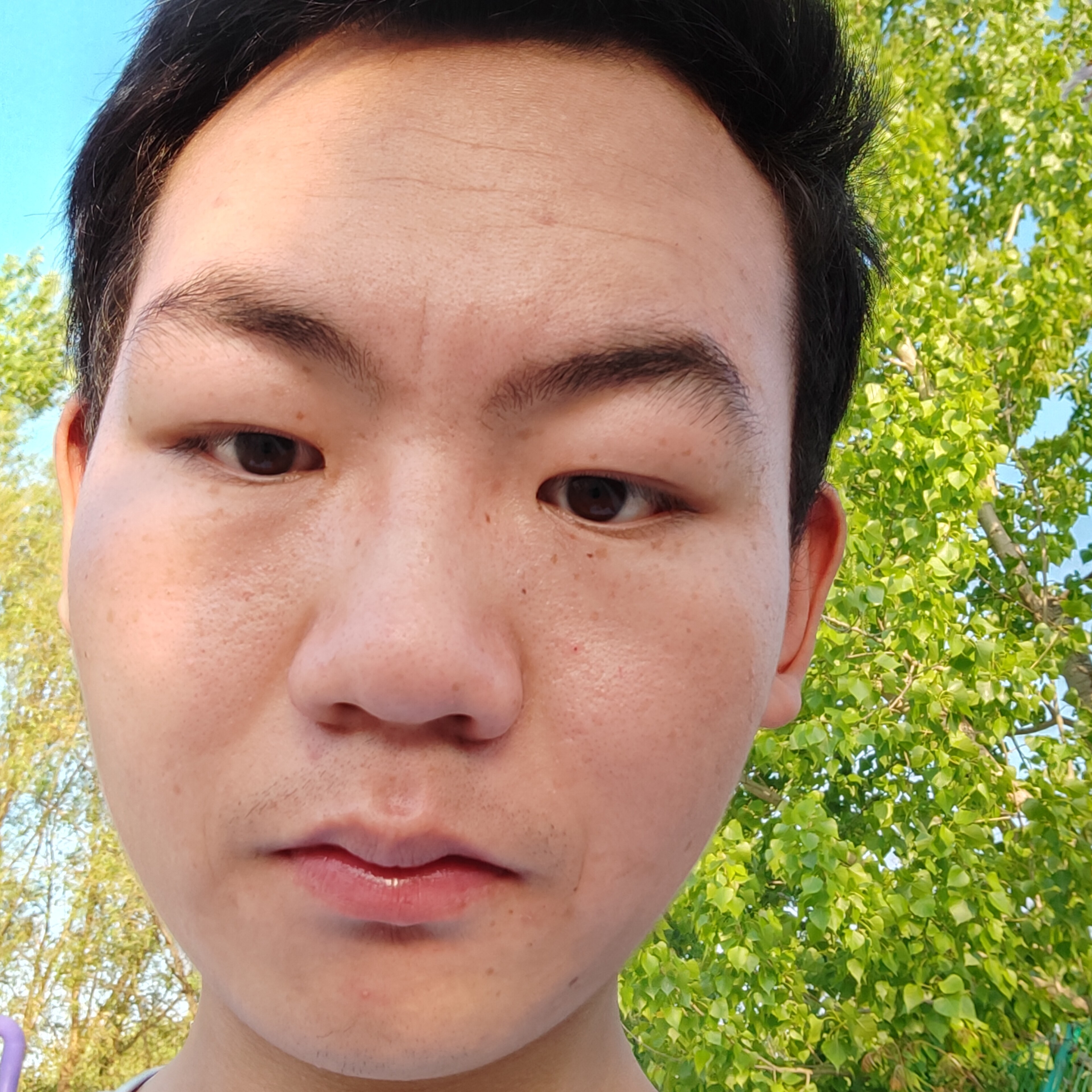 英俊还凉面的照片