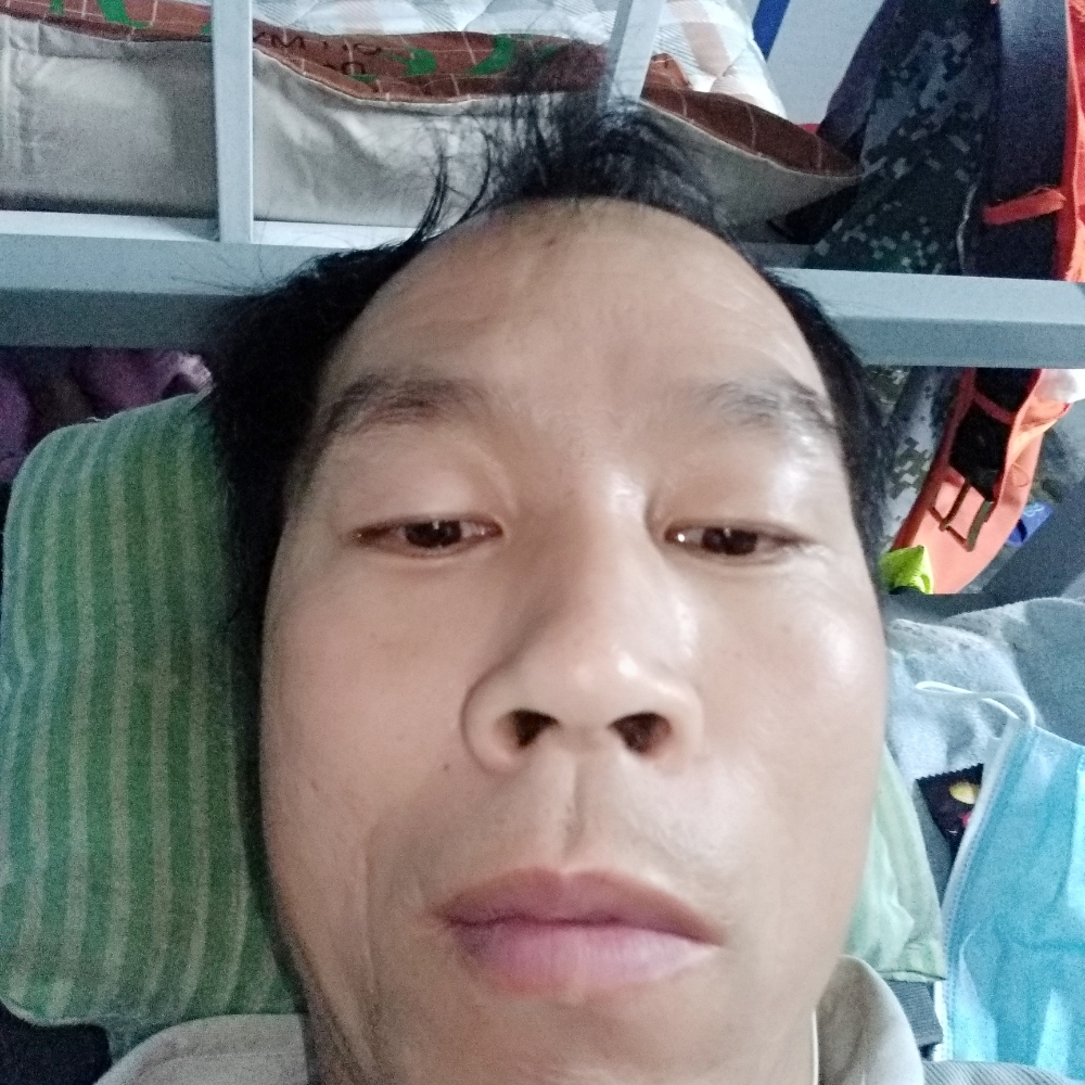 黄蜂回眸斯文的照片