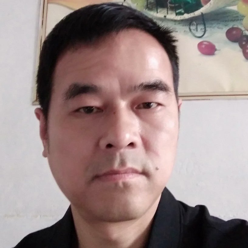 小猫咪深拥沉静的照片