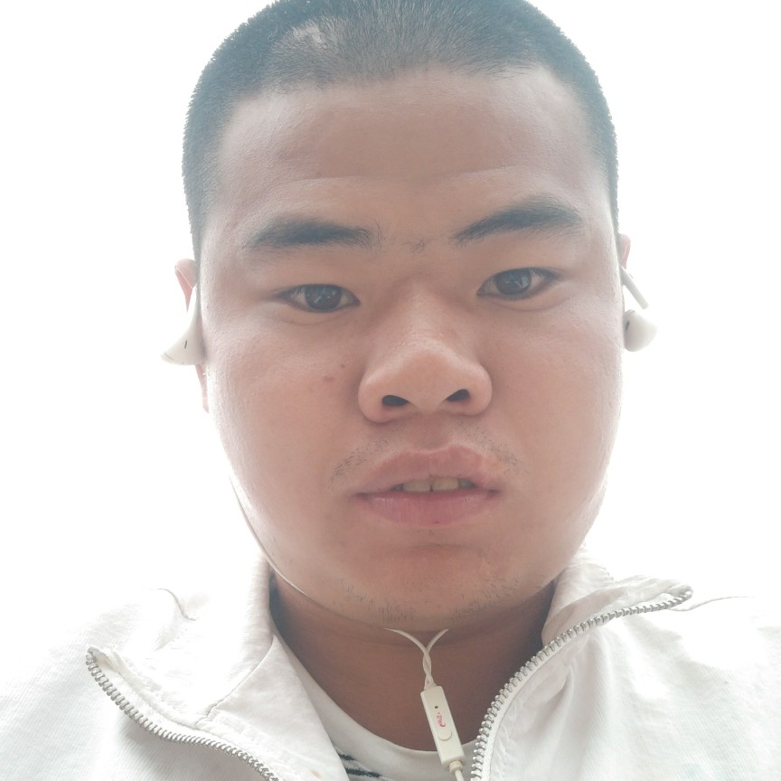 小白鼠，，，的照片
