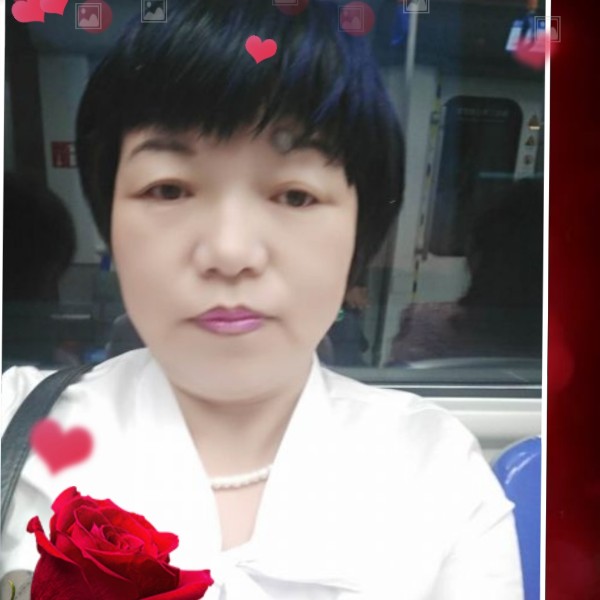 華麗百合的照片