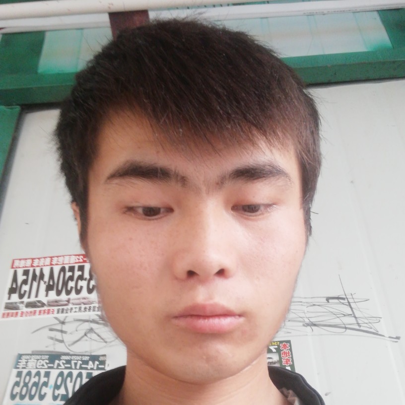 蜜蜂那忧虑的照片