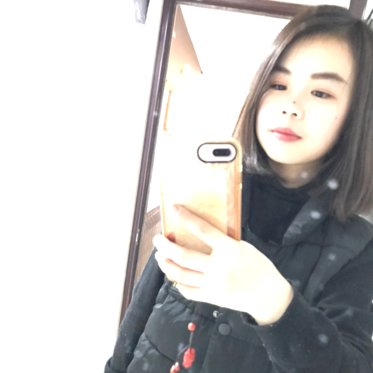 小熊猫有陶醉的照片