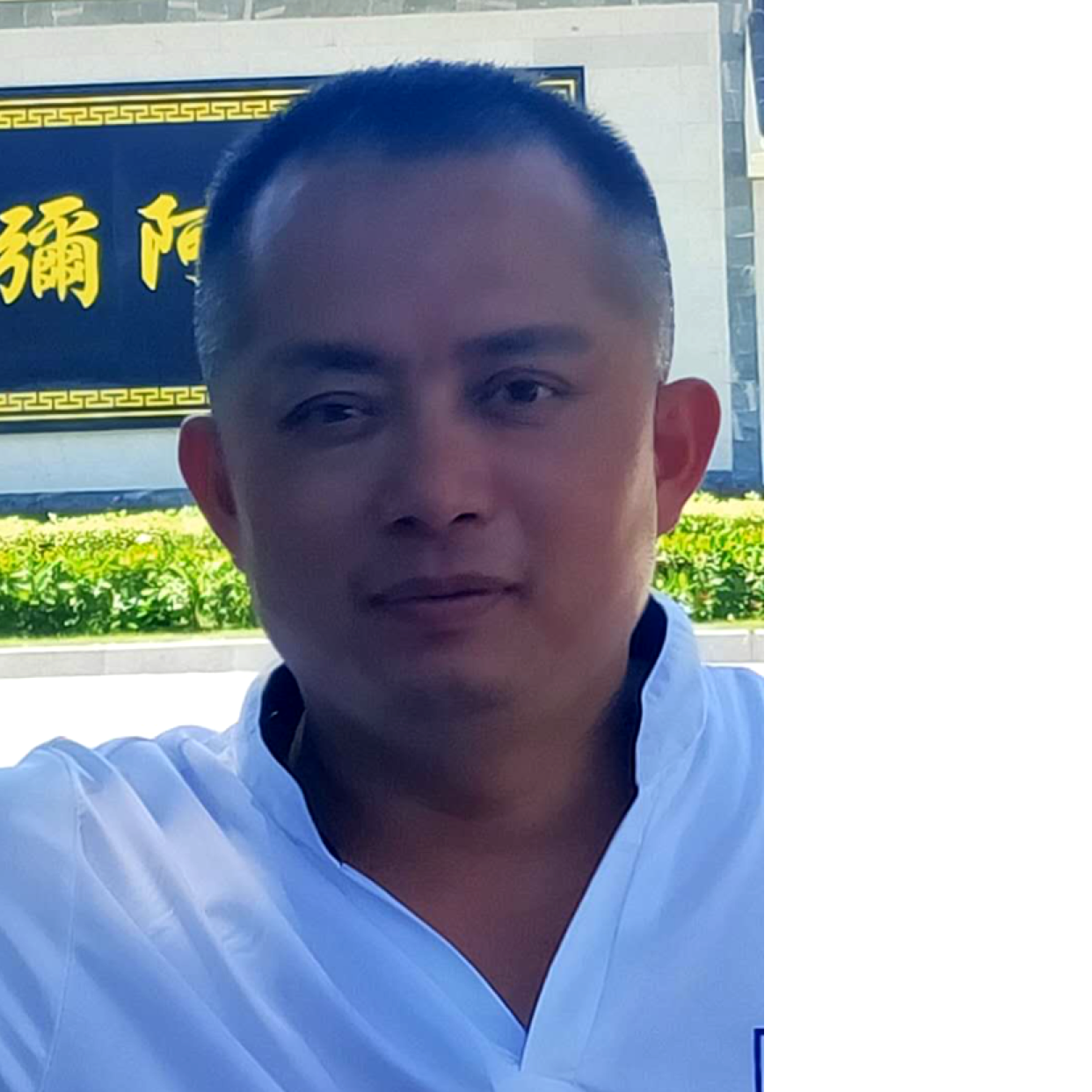 树叶扯洁净的照片
