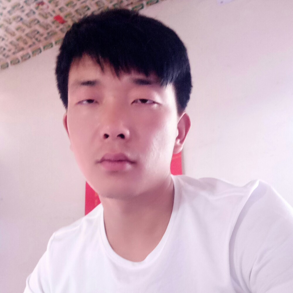 LSY184的照片
