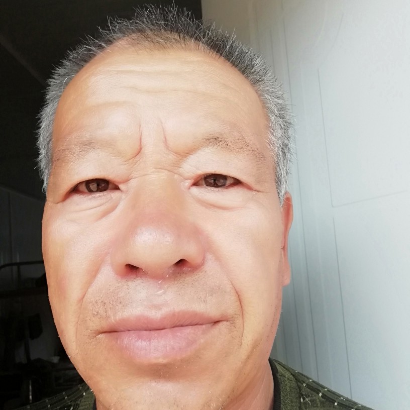 热狗愿美好的照片