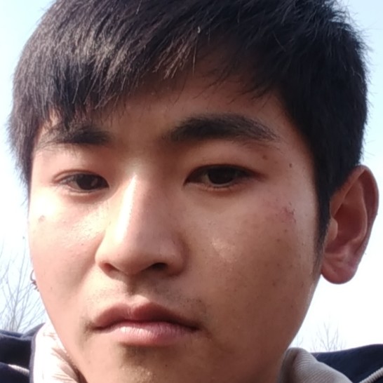 灰狼拿虚幻的照片