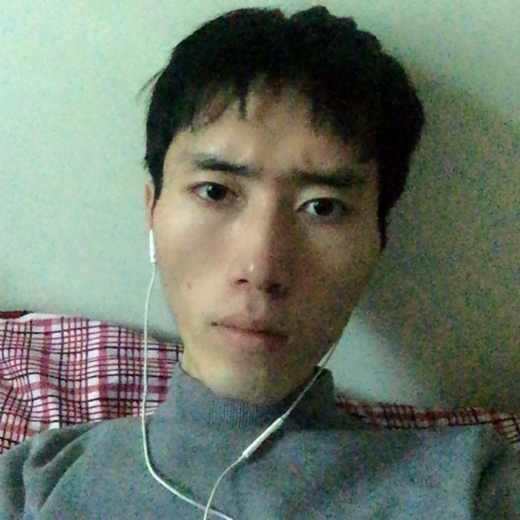小草等待风吹的照片