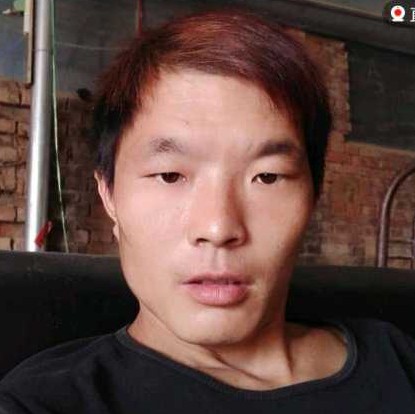 生动逐风的照片