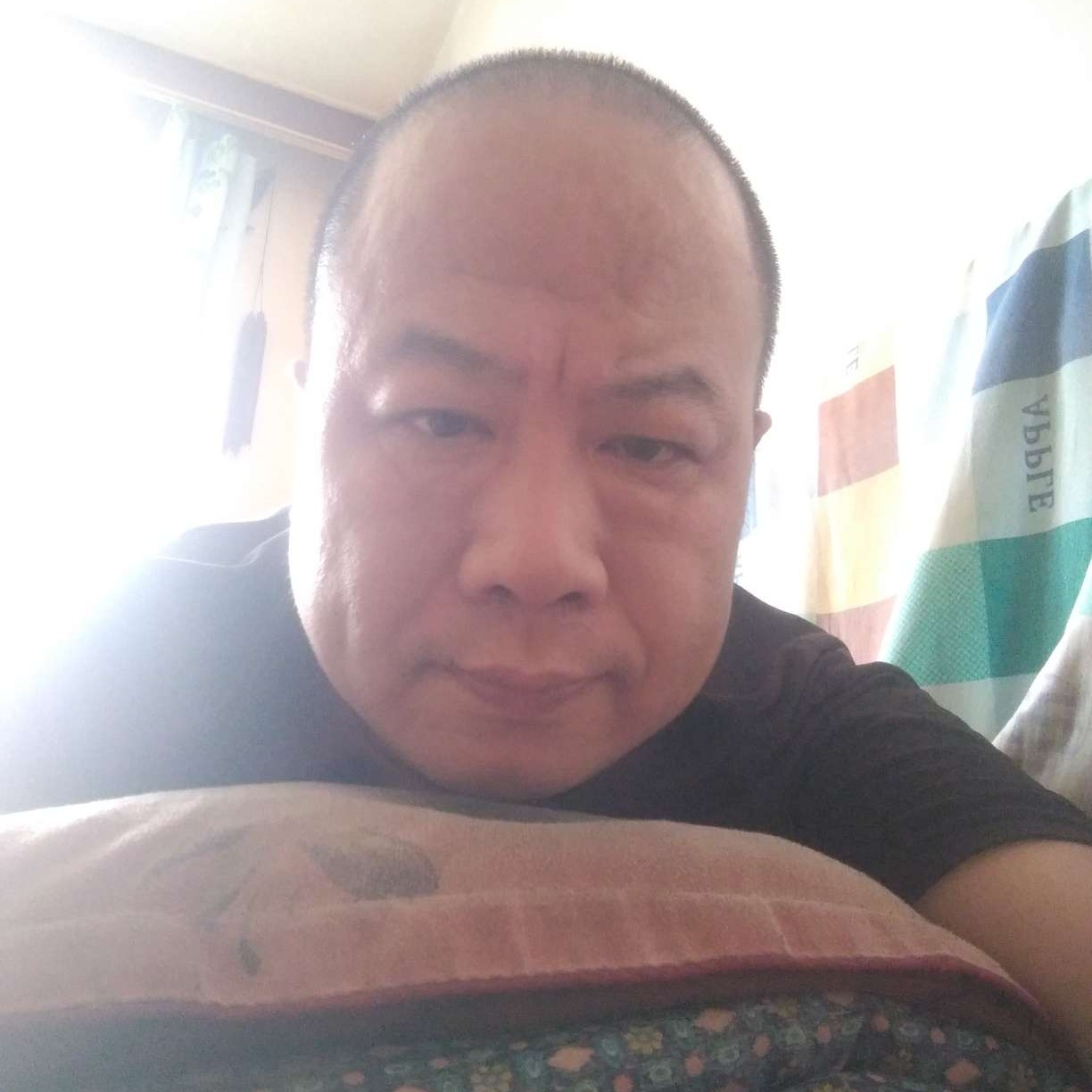柚子树枝的照片