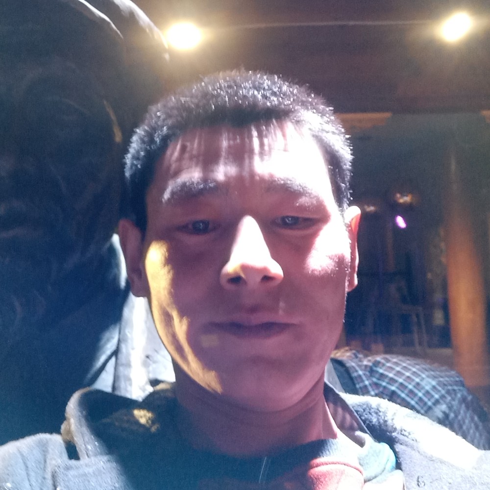 粗心停止剪影的照片