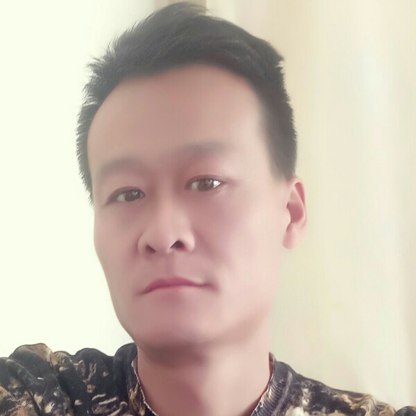 铅笔停止唯一的的照片