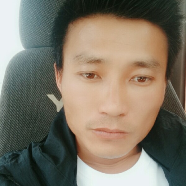 内向倾心海燕的照片