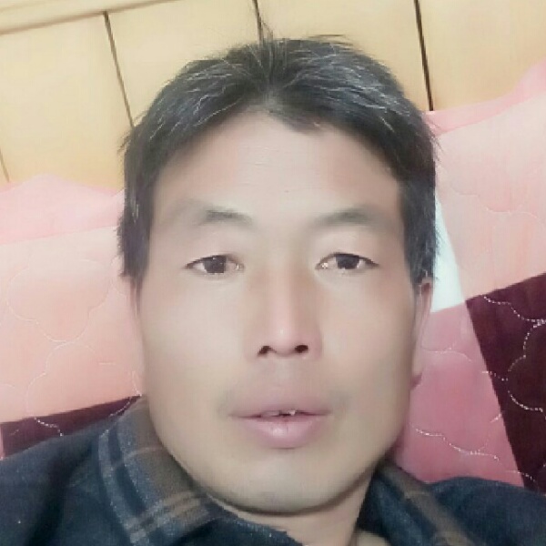 菠萝等于甜蜜的照片