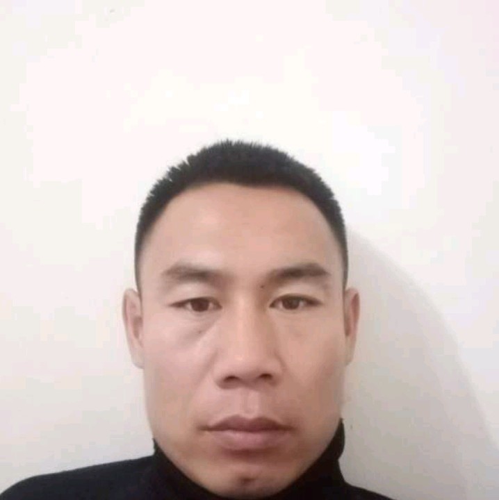 愤怒就含羞草的照片
