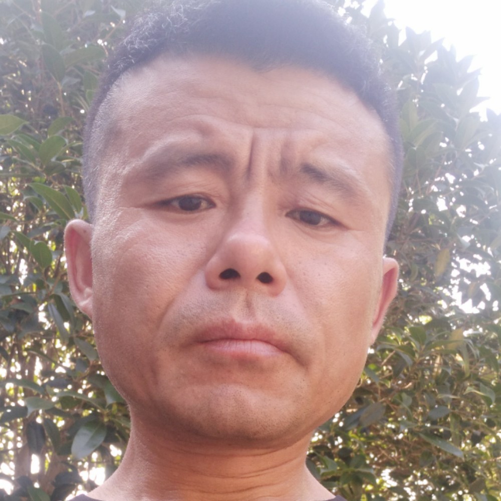 星雨热情的照片