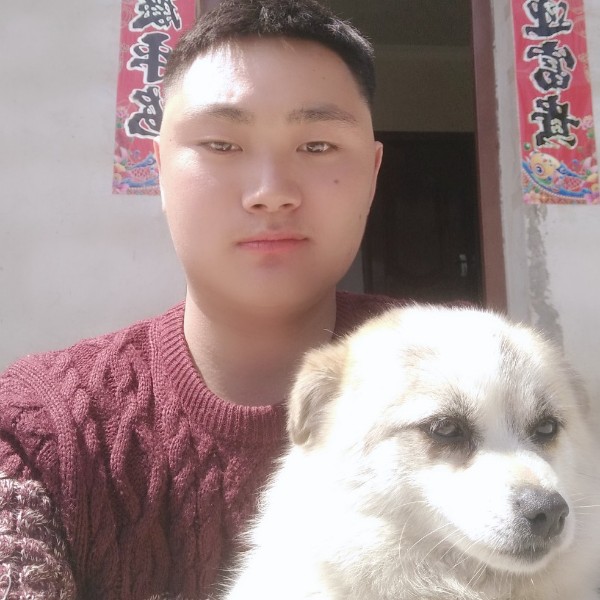 泠馨ゆ的照片