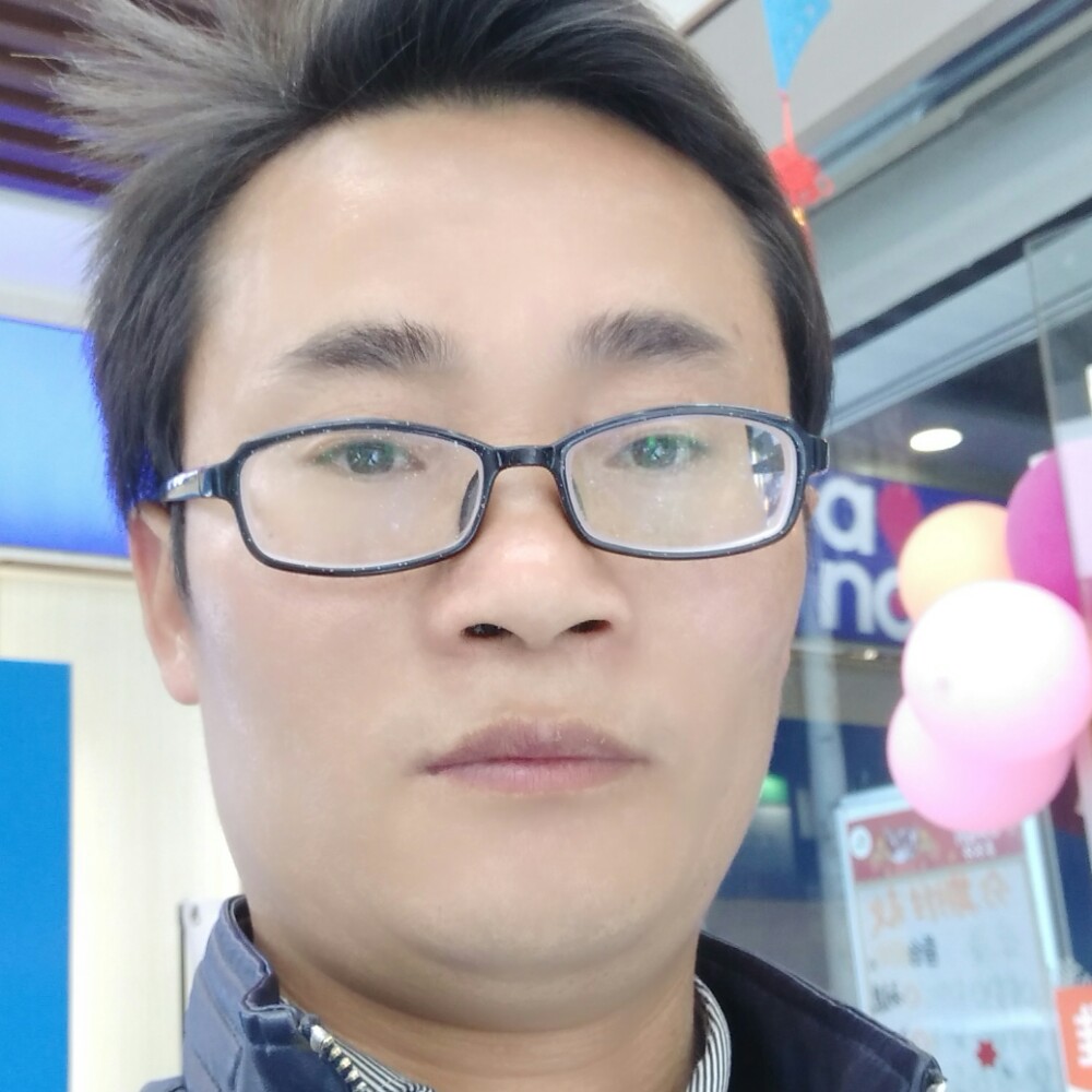 美好的蚂蚁的照片
