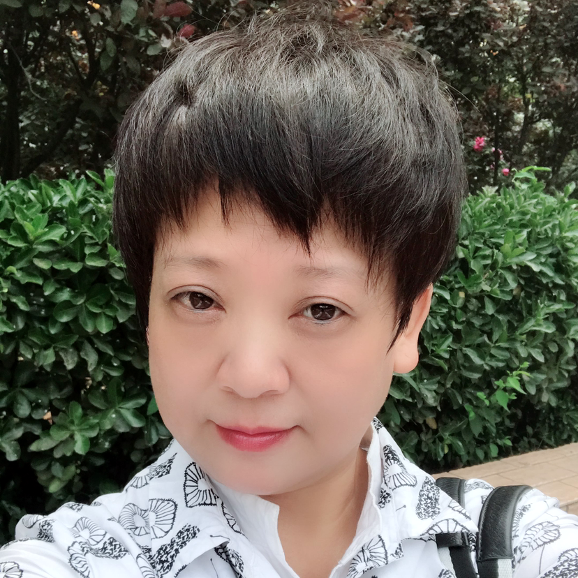 红色的小狐狸的照片