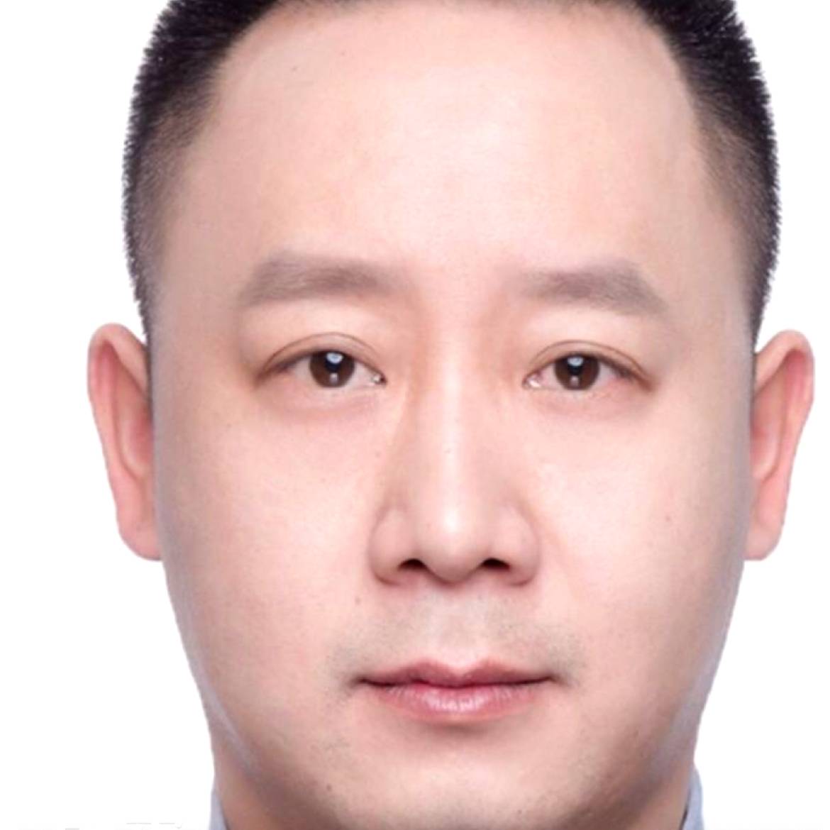 你de藤蔓的照片