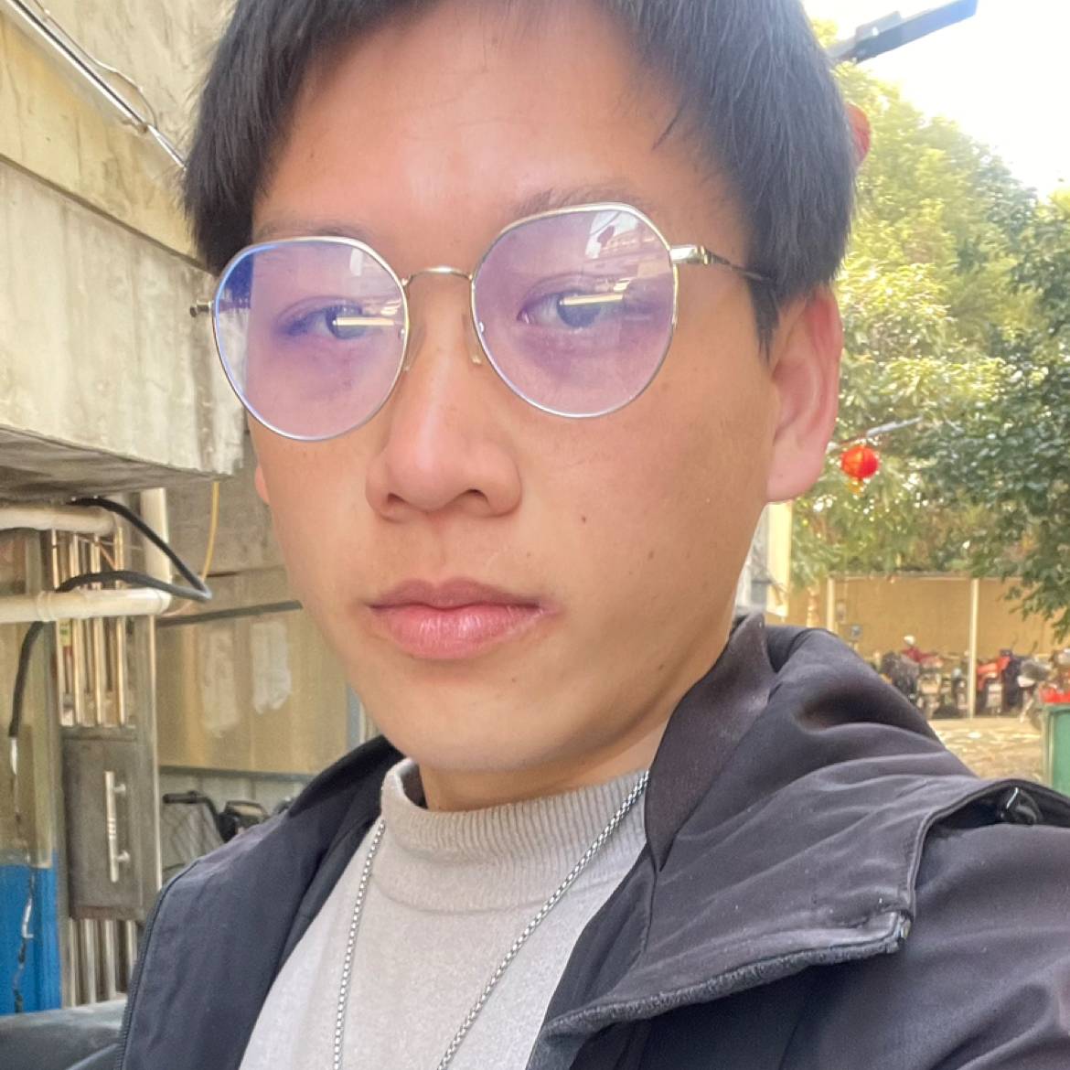 猫咪蹁跹缥缈的照片