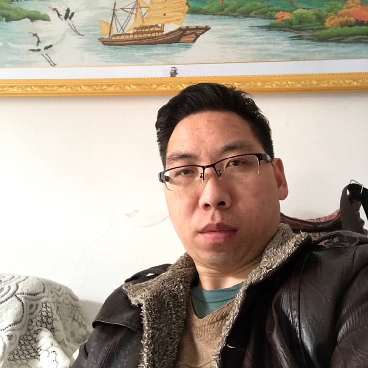 孤雁迷茫的照片