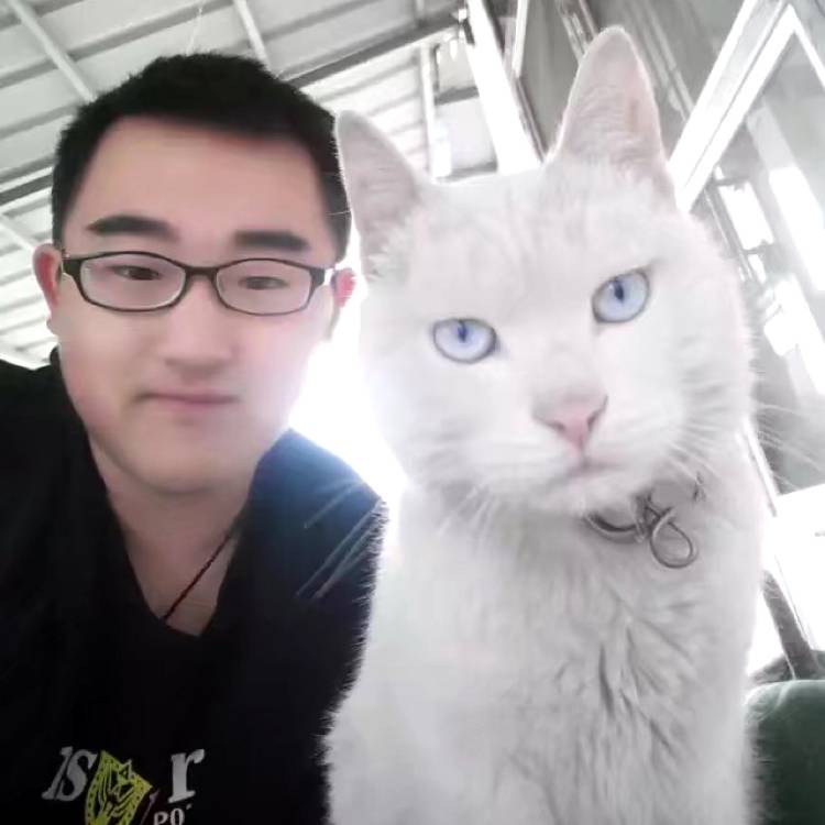 会员852040891的照片
