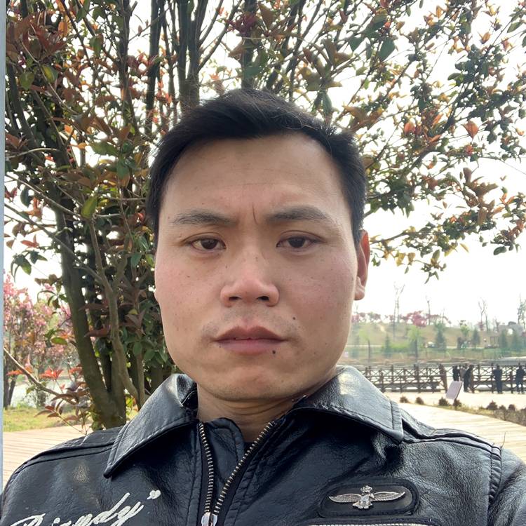 暧昧挽手枫叶的照片