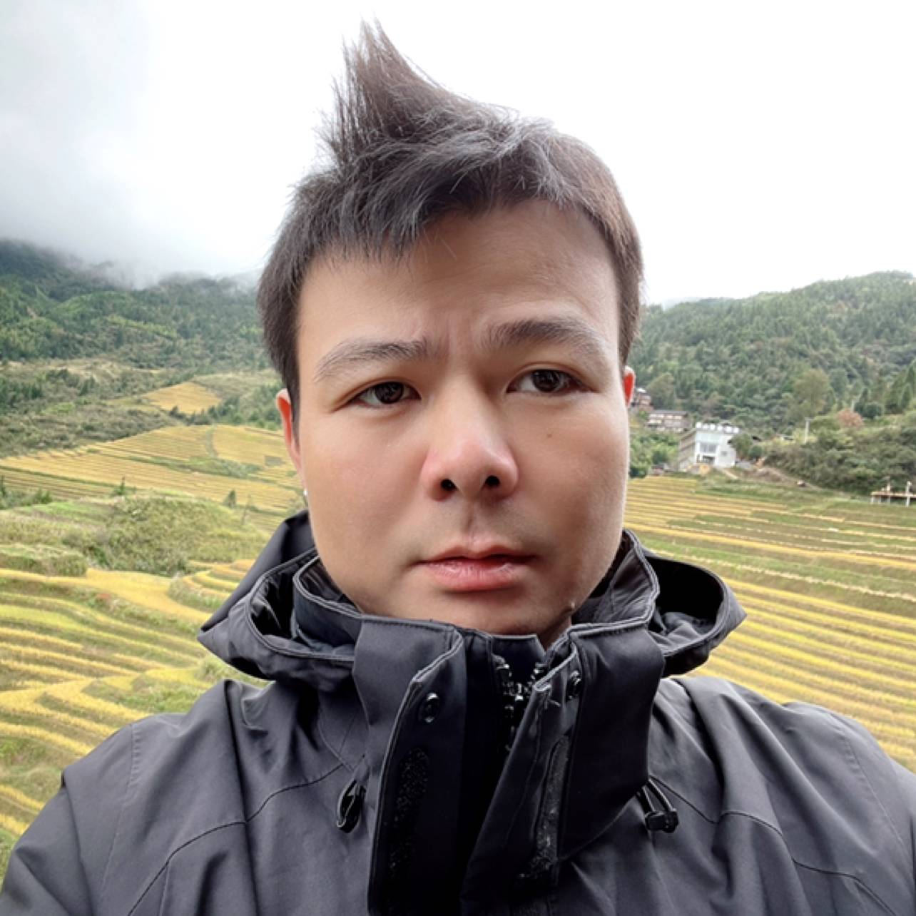 灰的躯体的照片