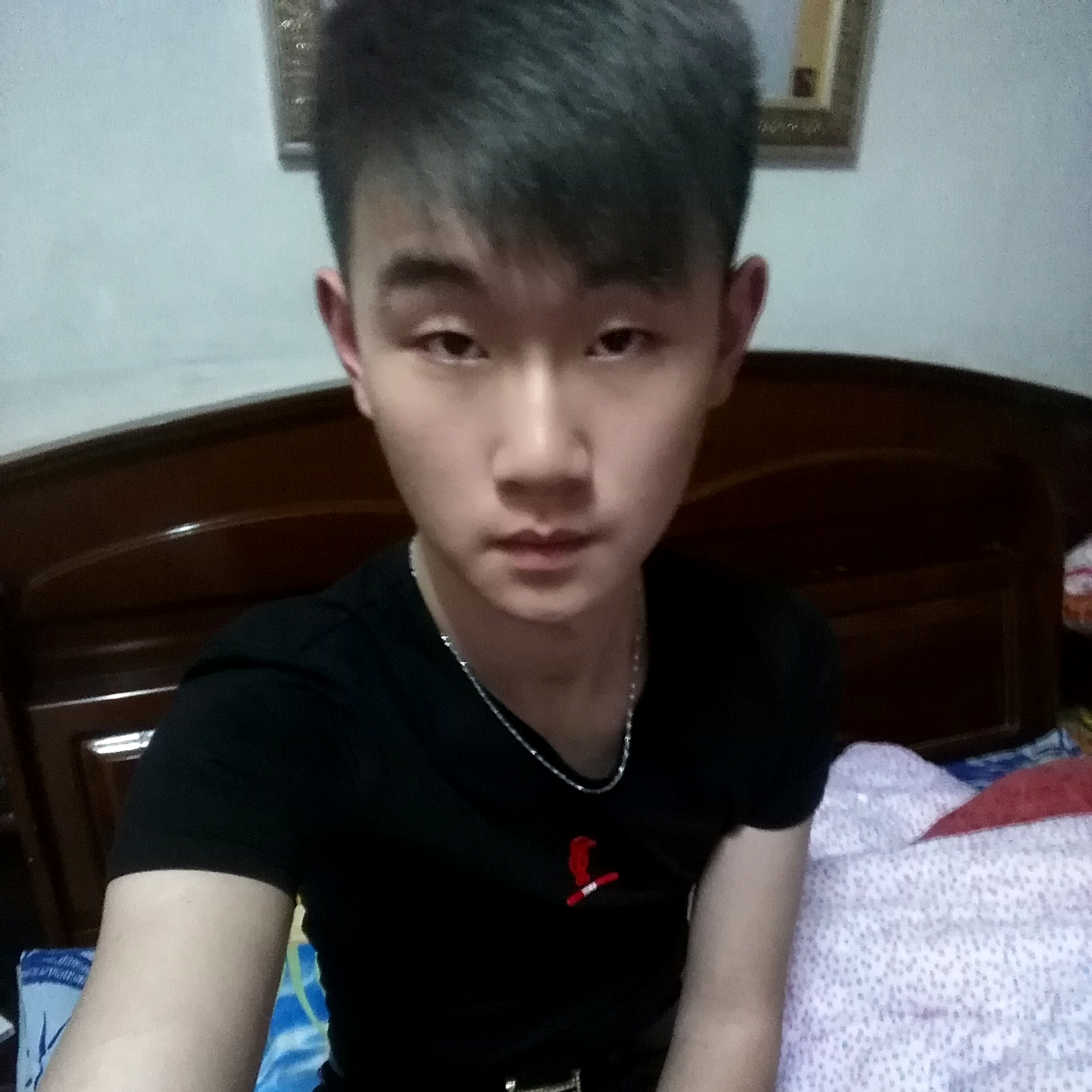 哈密瓜闻活泼的照片