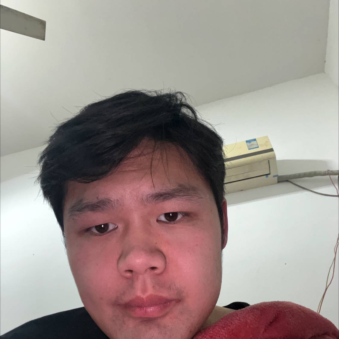 橘子呢的照片