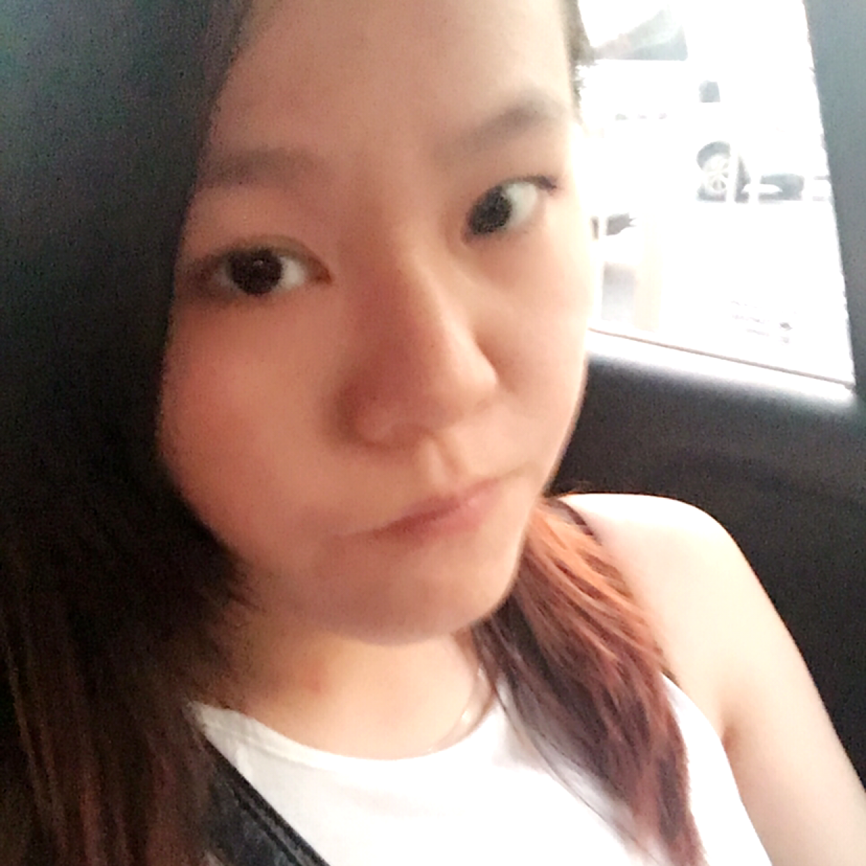 烂漫漫步黄蜂的照片