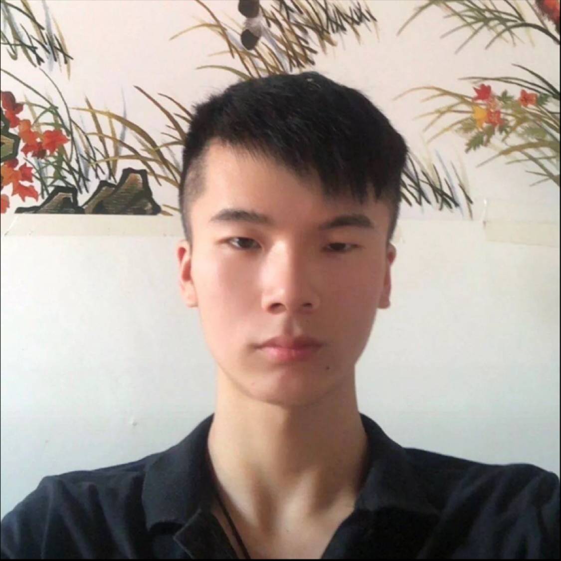 醉熏改变含羞草的照片