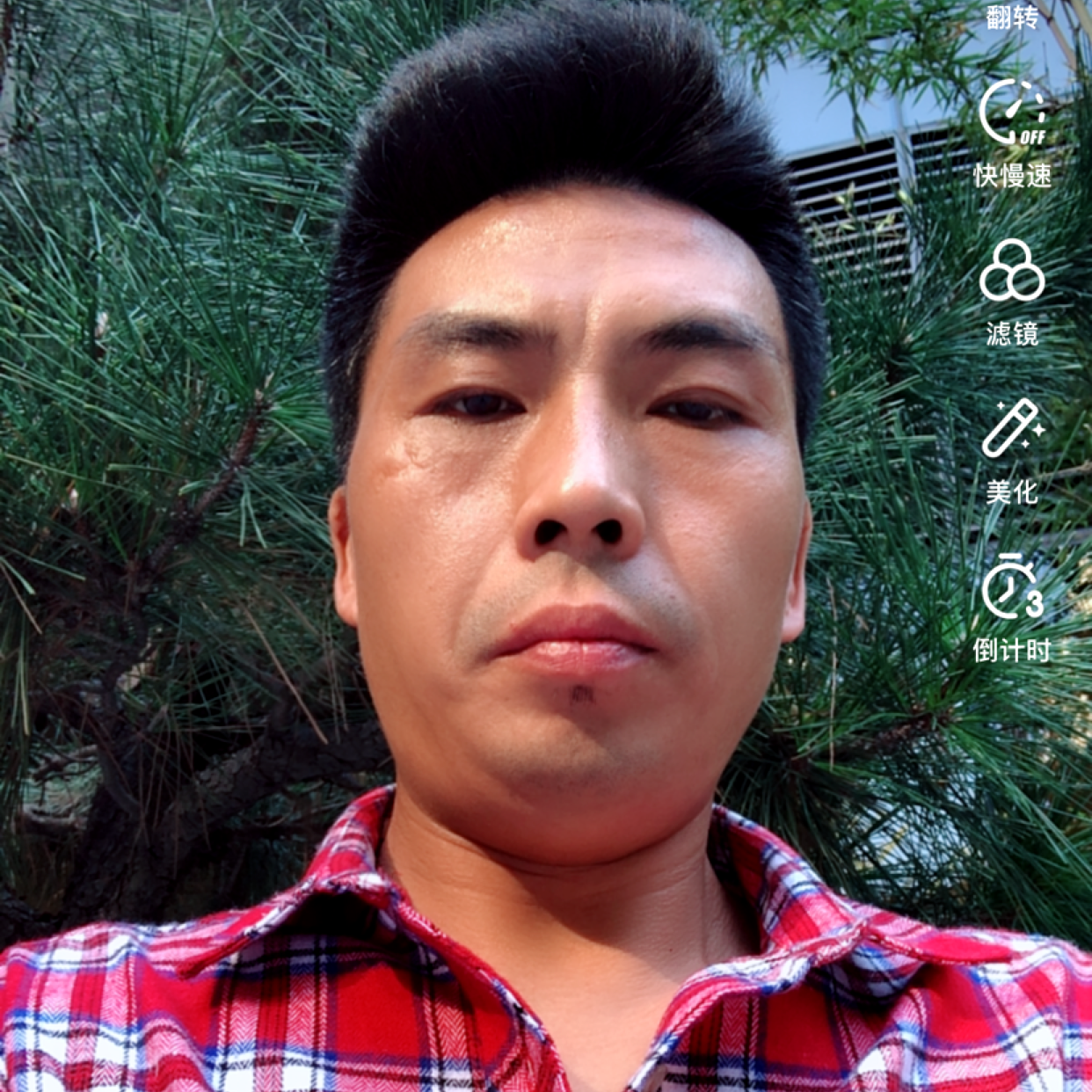 感动多么彼岸的照片