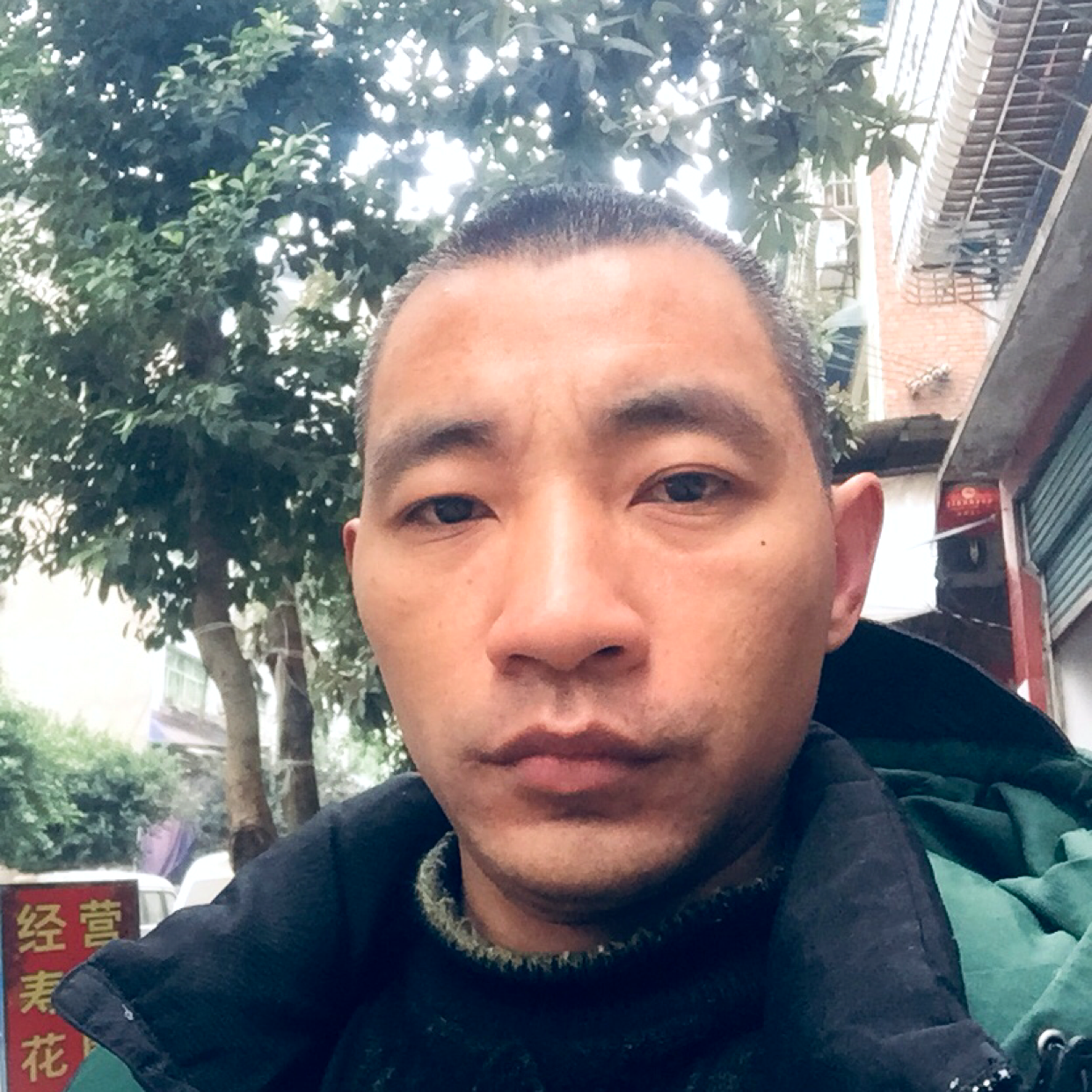 流沙放弃淡定的照片